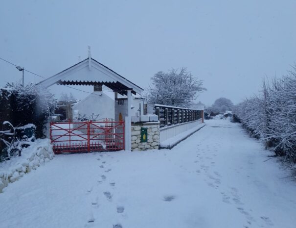 nellies farmhouse snow 4