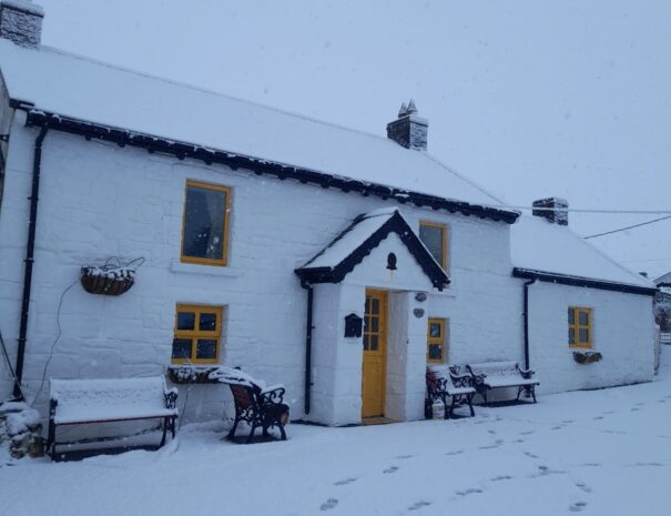 nellies farmhouse snow 7